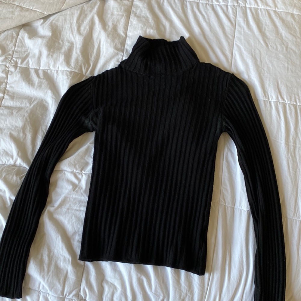 Silence & Noise Ribbed Turtleneck